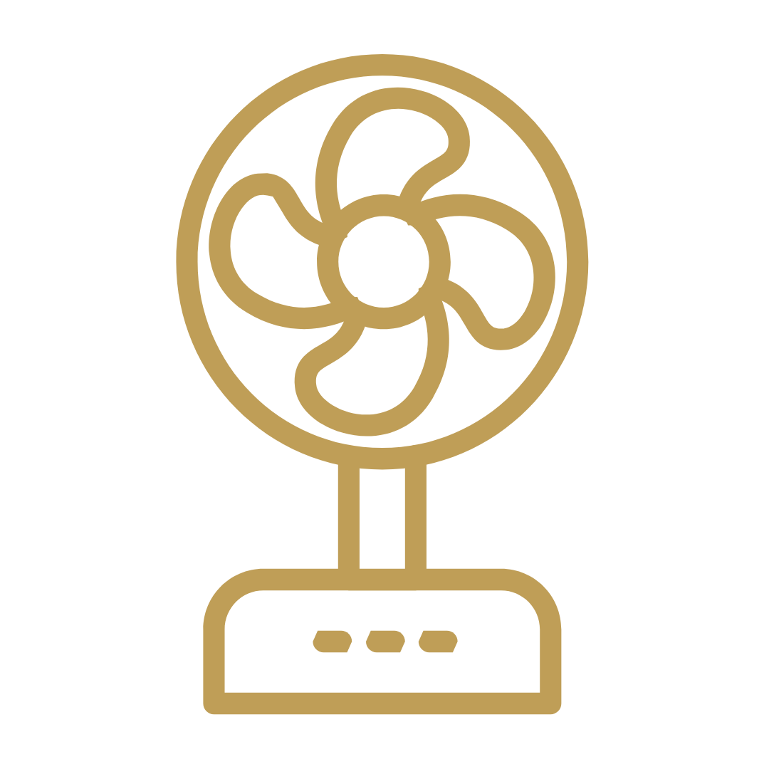 Fan