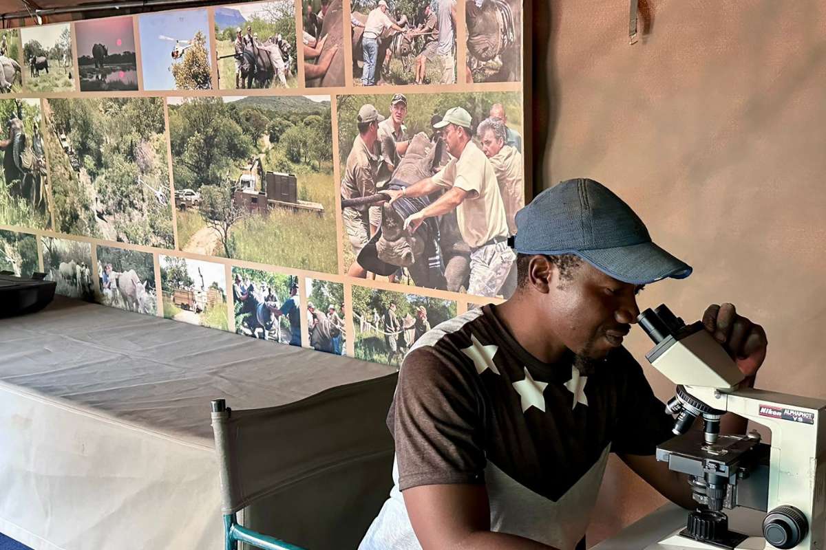 Amava River Camp, Greater Kruger National Park